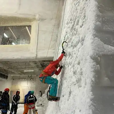 郑鑫